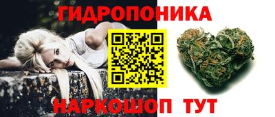 мдпв Гагарин