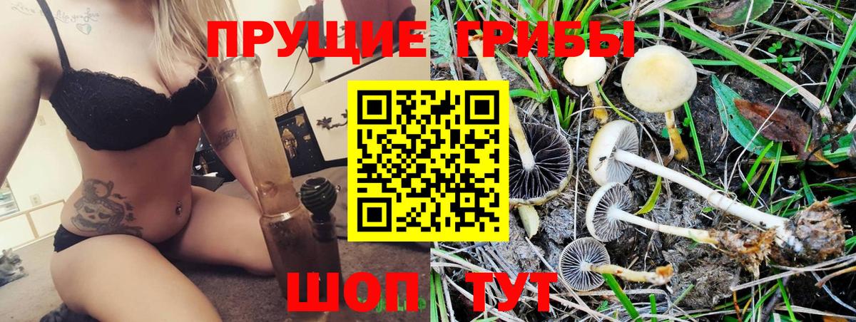 Псилоцибиновые грибы Magic Shrooms Калуга