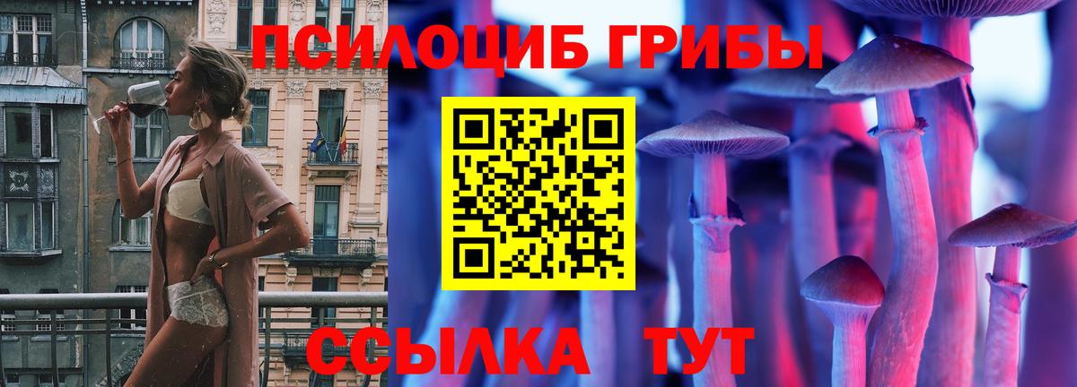 Псилоцибиновые грибы Psilocybine cubensis  Вход с VPN  Калуга  Галлюциногенные грибы Psilocybine cubensis 
